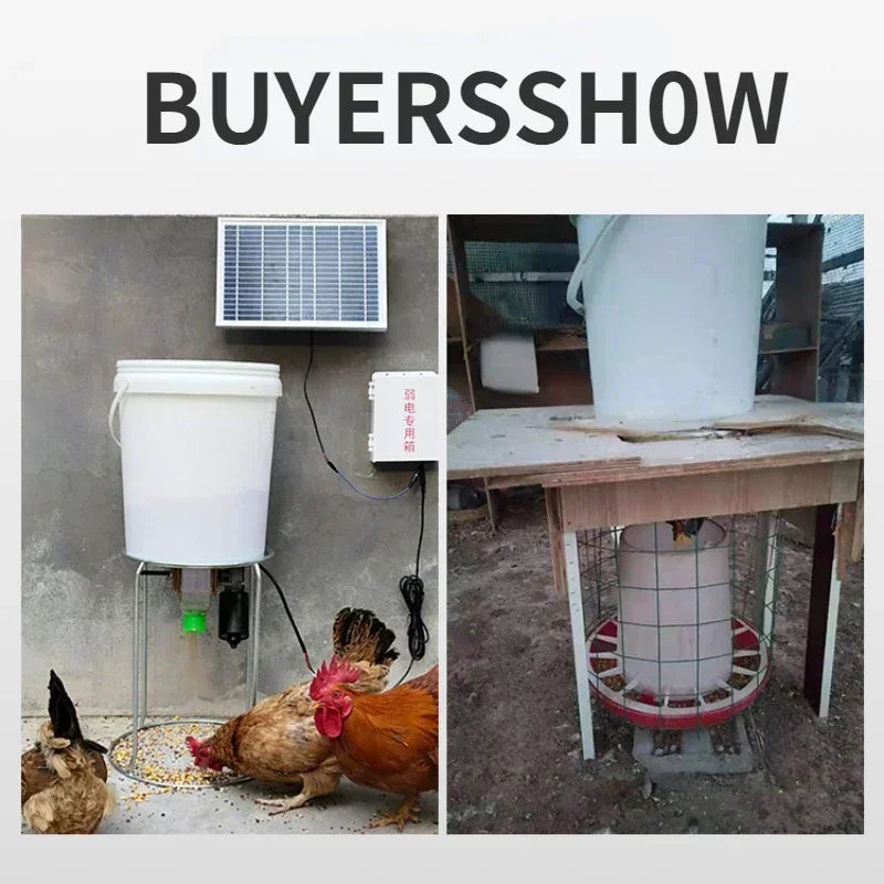 Smart Automatic Chicken Feeder for Pigeons and Ducks - Timed & Efficient