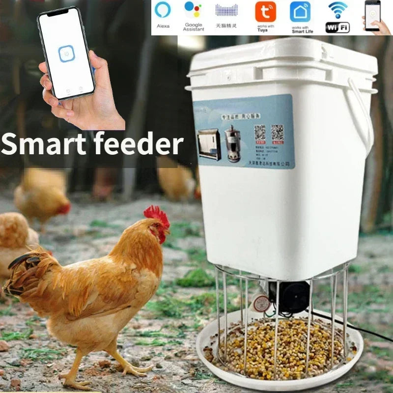 Smart Automatic Chicken Feeder for Pigeons and Ducks - Timed & Efficient