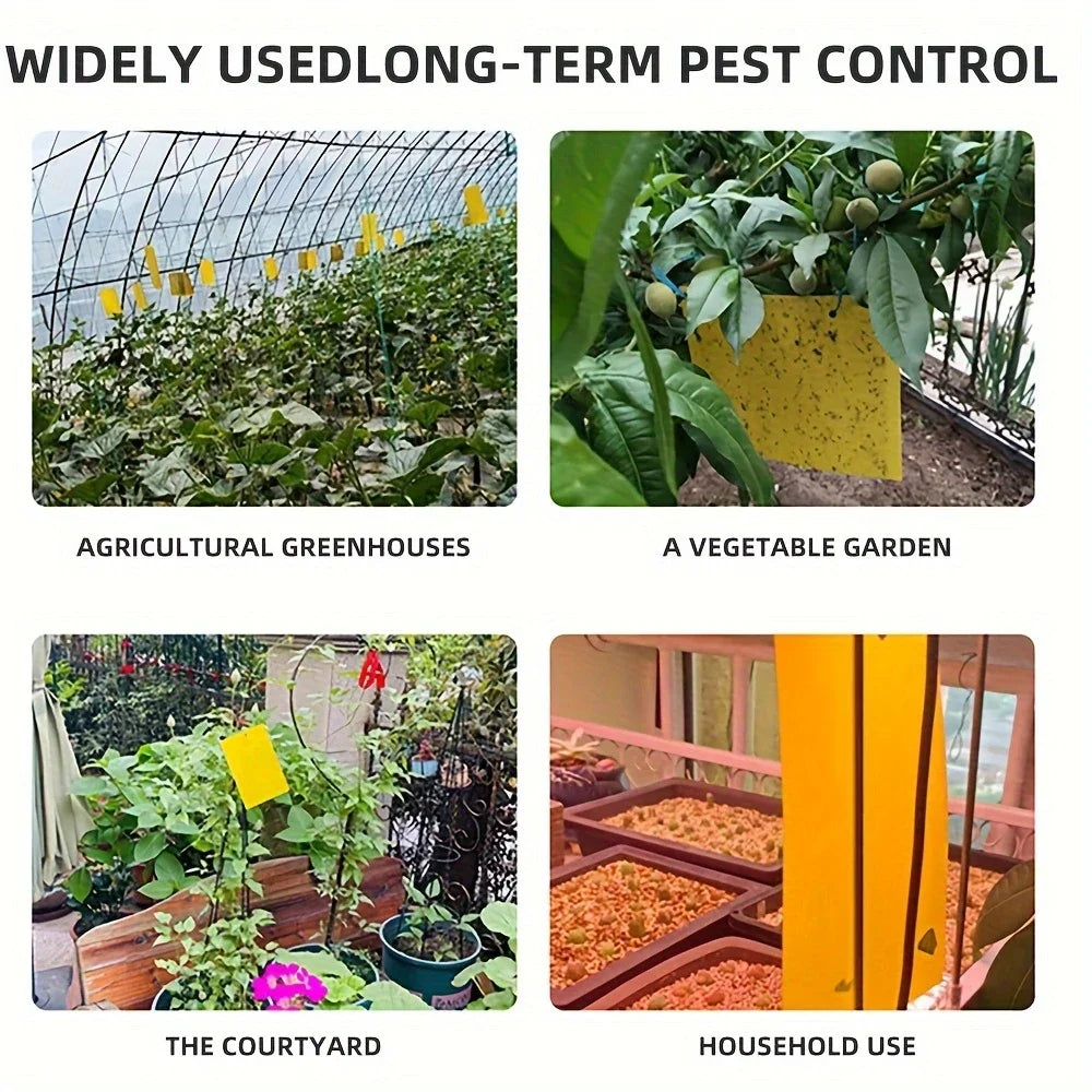 20-Pack Non-Toxic Sticky Traps - Durable Pest Control for Home & Greenhouses