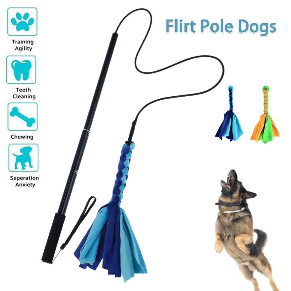 Active Dog Chase Toy - Durable Flirt Pole for Training & Exercise