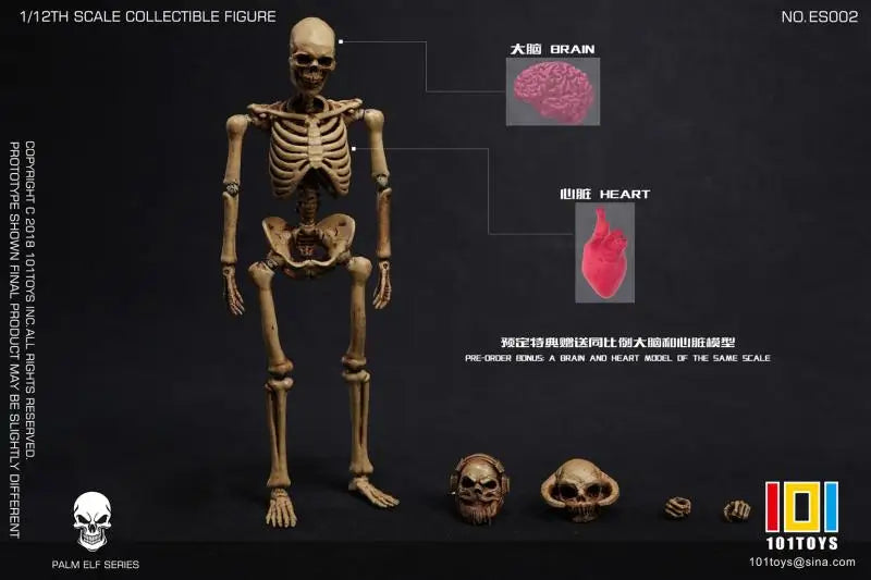 Collectible 1/12 Scale Skull Skeleton Action Figure - Perfect for Hobbyists