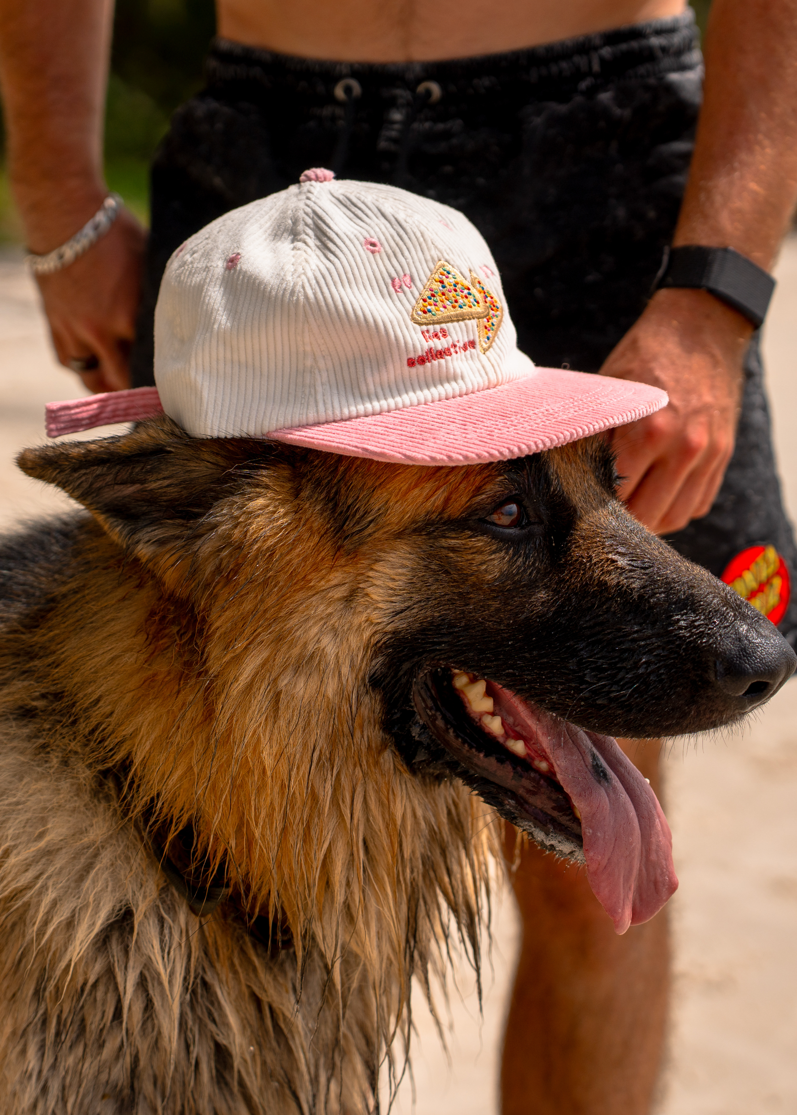 Iconic Fairy Bread Corduroy Cap - Trendy Retro Hat