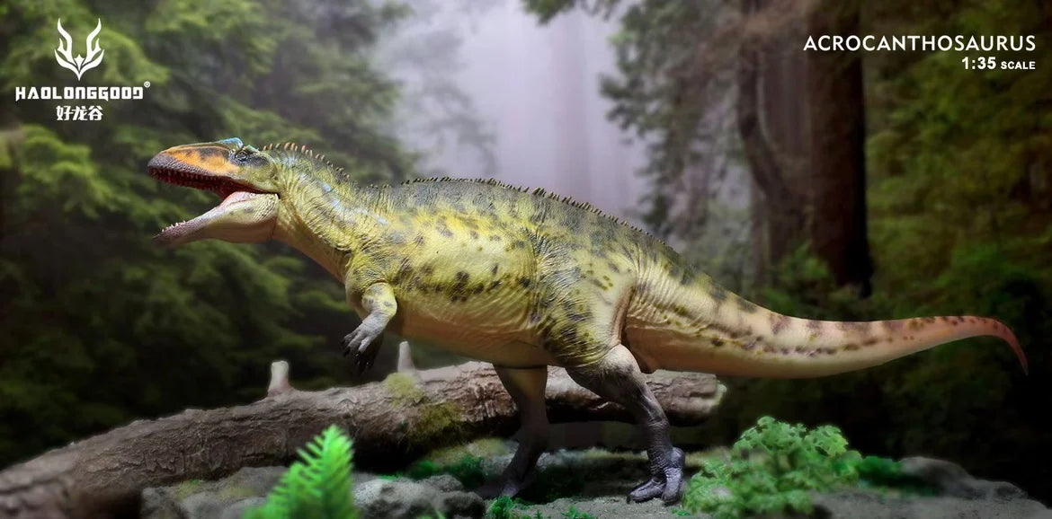 HaoLongGood Acrocanthosaurus Dinosaur Model - 1/35 Collectible Figure