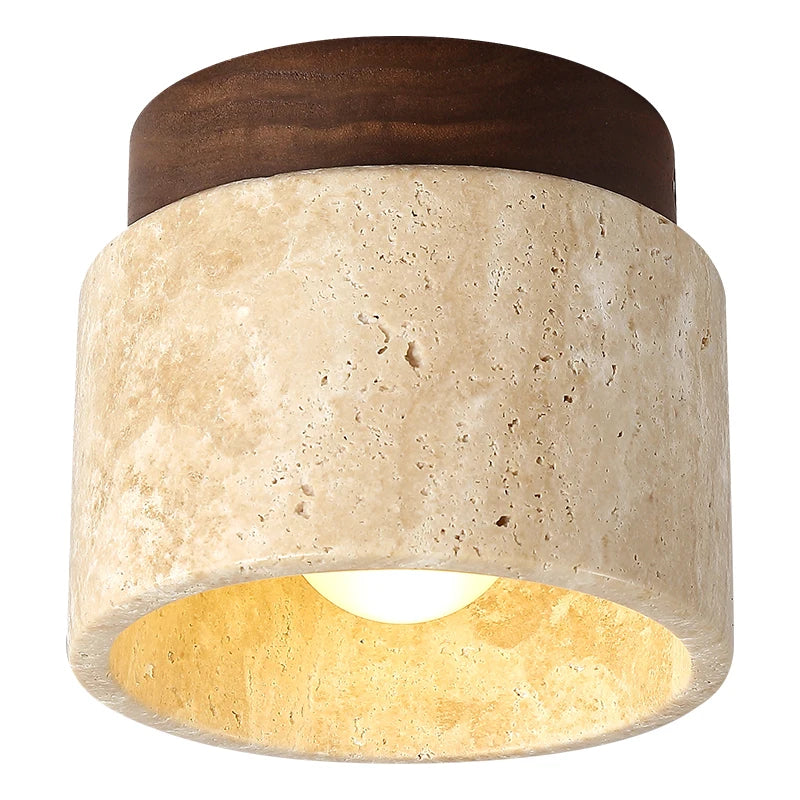 Stylish Modern LED Ceiling Lamp - Energy Efficient & Dimmable