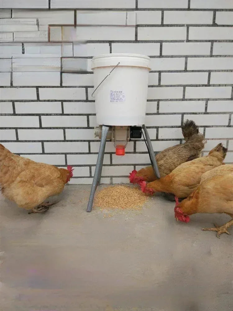 Smart Automatic Chicken Feeder for Pigeons and Ducks - Timed & Efficient