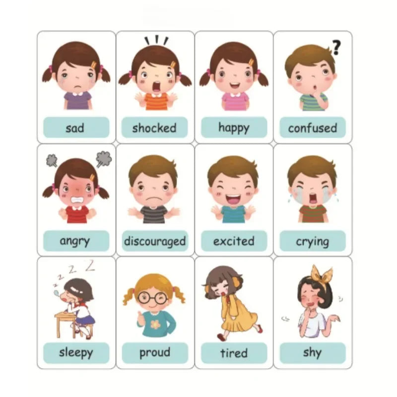 Montessori Emotion & Weather Learning Flash Cards for Kids