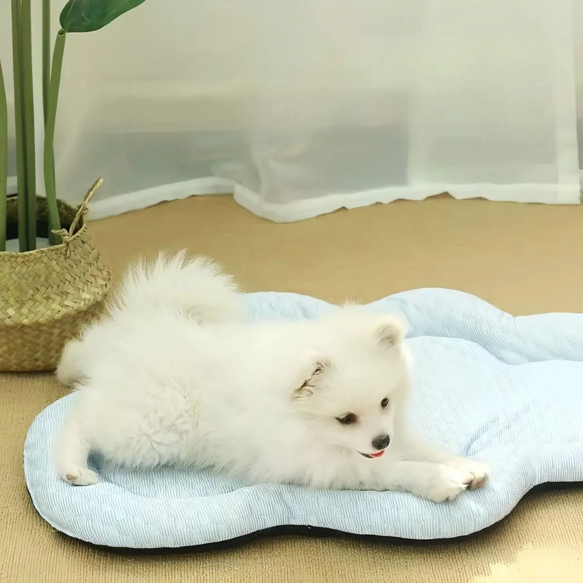 Cooling Mat for Dogs - Summer Pet Bed Accessory for Small Dogs