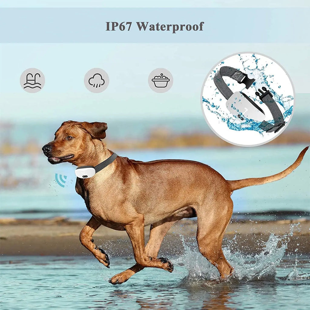 Rechargeable Anti-Bark Dog Training Collar - Vibration & Sound