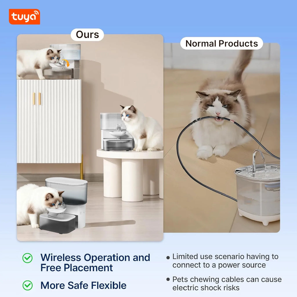 Rechargeable 3L Timed Pet Water Fountain - No Filter, Continuous Fresh Water