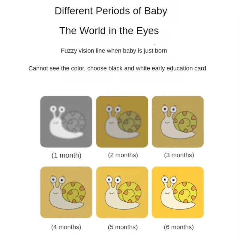 Montessori Visual Stimulation Cards for Baby – High Contrast Learning Toy