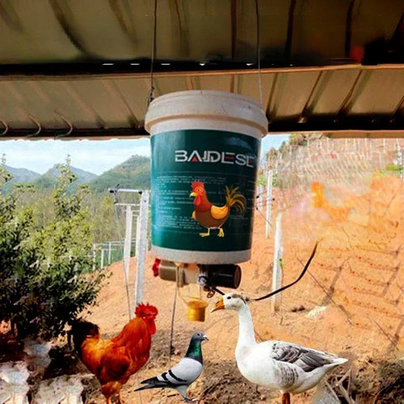 Smart Automatic Chicken Feeder for Pigeons and Ducks - Timed & Efficient