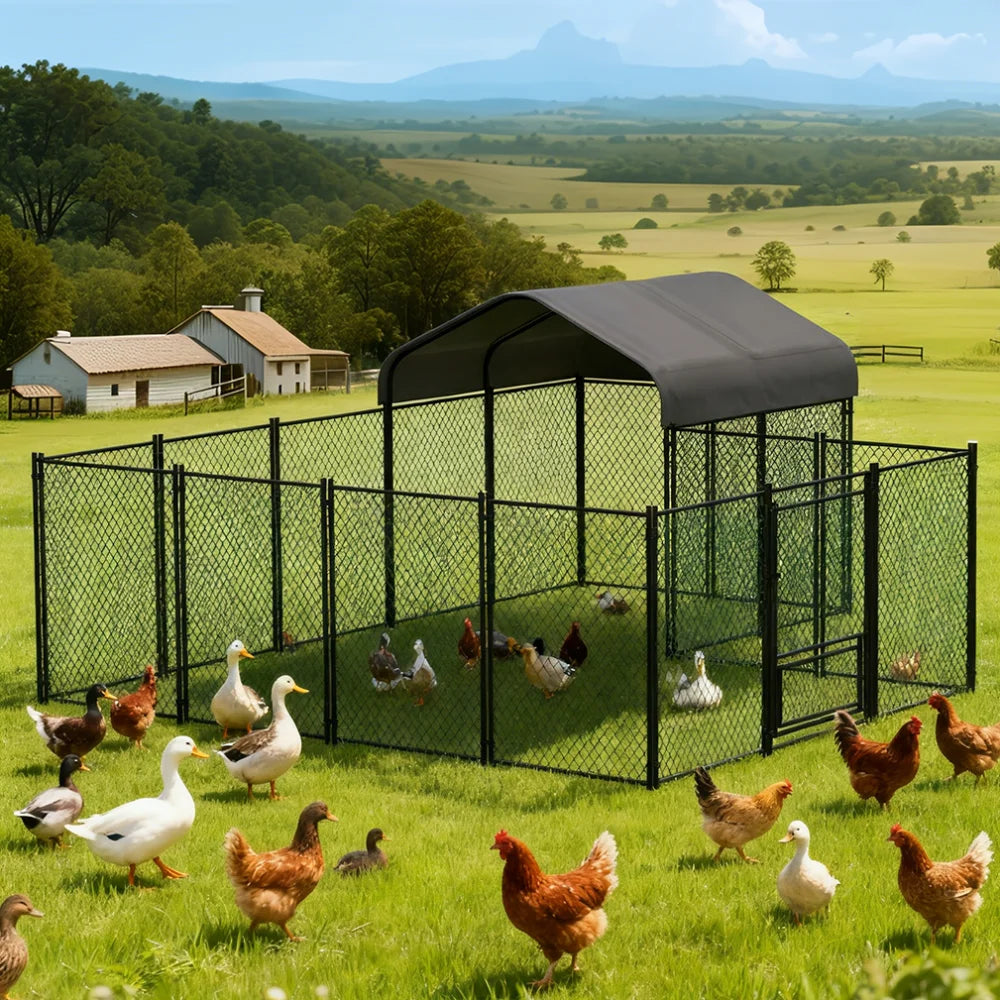 Heavy Duty Large Chicken Coop with Walk-In Design & Waterproof Cover