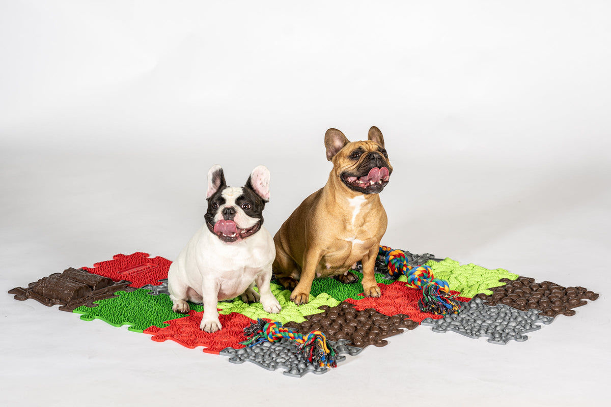 MUFFIK 8-Piece Textured Pet Puzzle Mats for Dogs & Cats