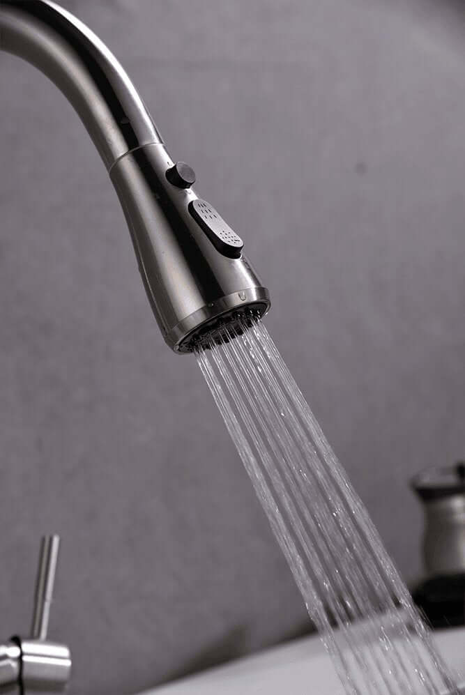 3 Way Mixer Tap with Dual Spout & Pull Out Spray Nickel