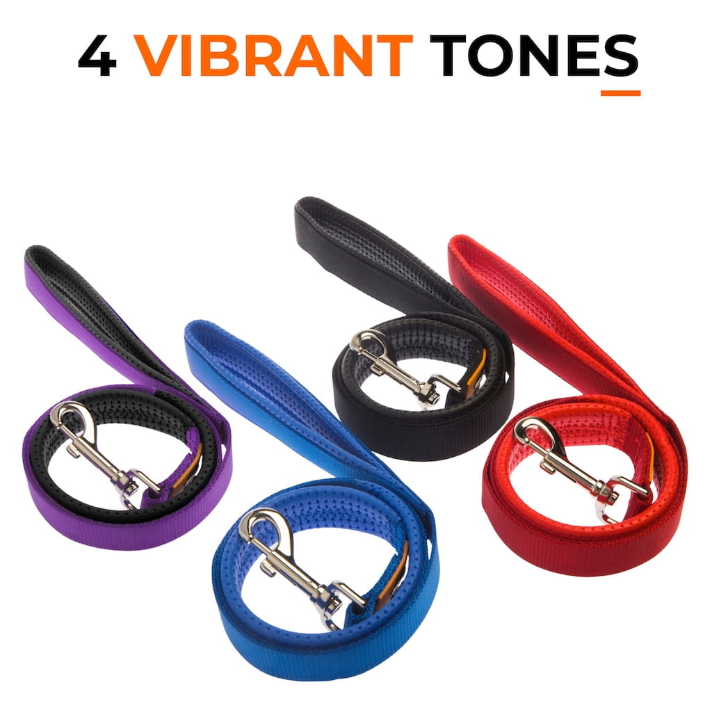 Canny Lead - Durable Training Lead with Classic Handle Design