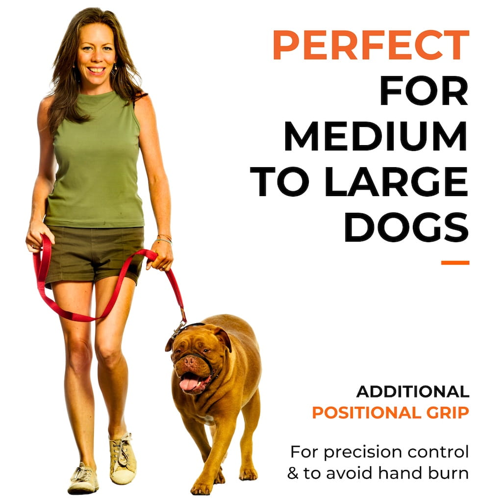 Canny Lead - Durable Training Lead with Classic Handle Design