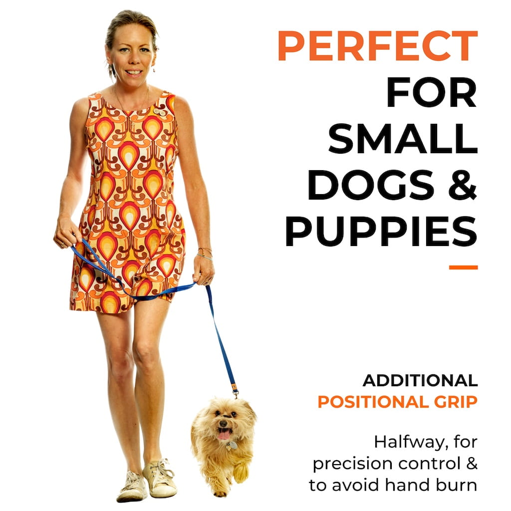 Canny Lead - Durable Training Lead with Classic Handle Design
