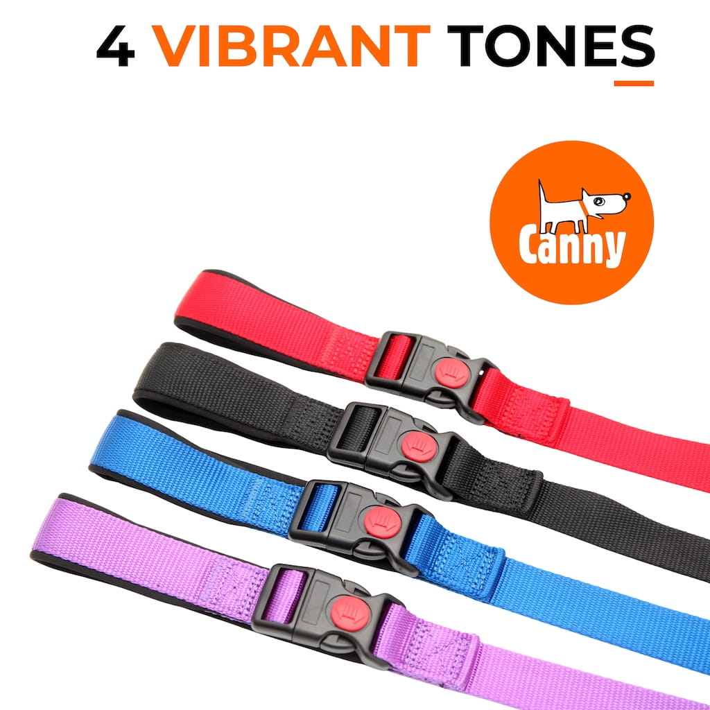 Canny CONNECT Training Lead - Durable PVC Handle Design