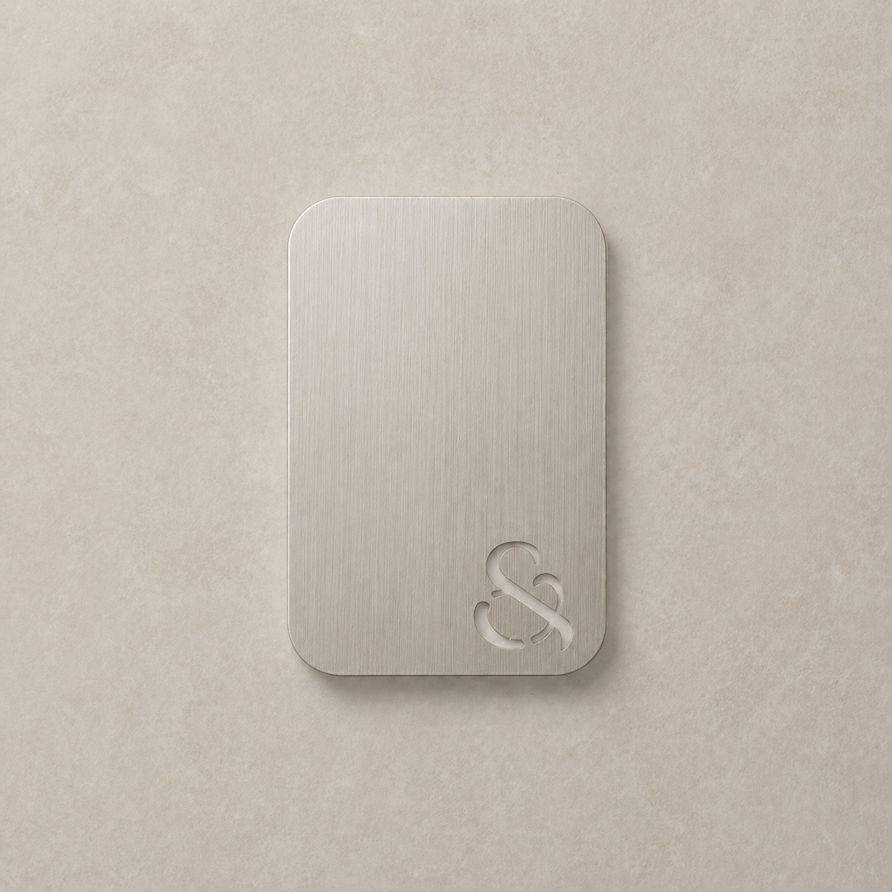 Tap & House Tones Brushed Nickel Swatch - Experience Modern Elegance