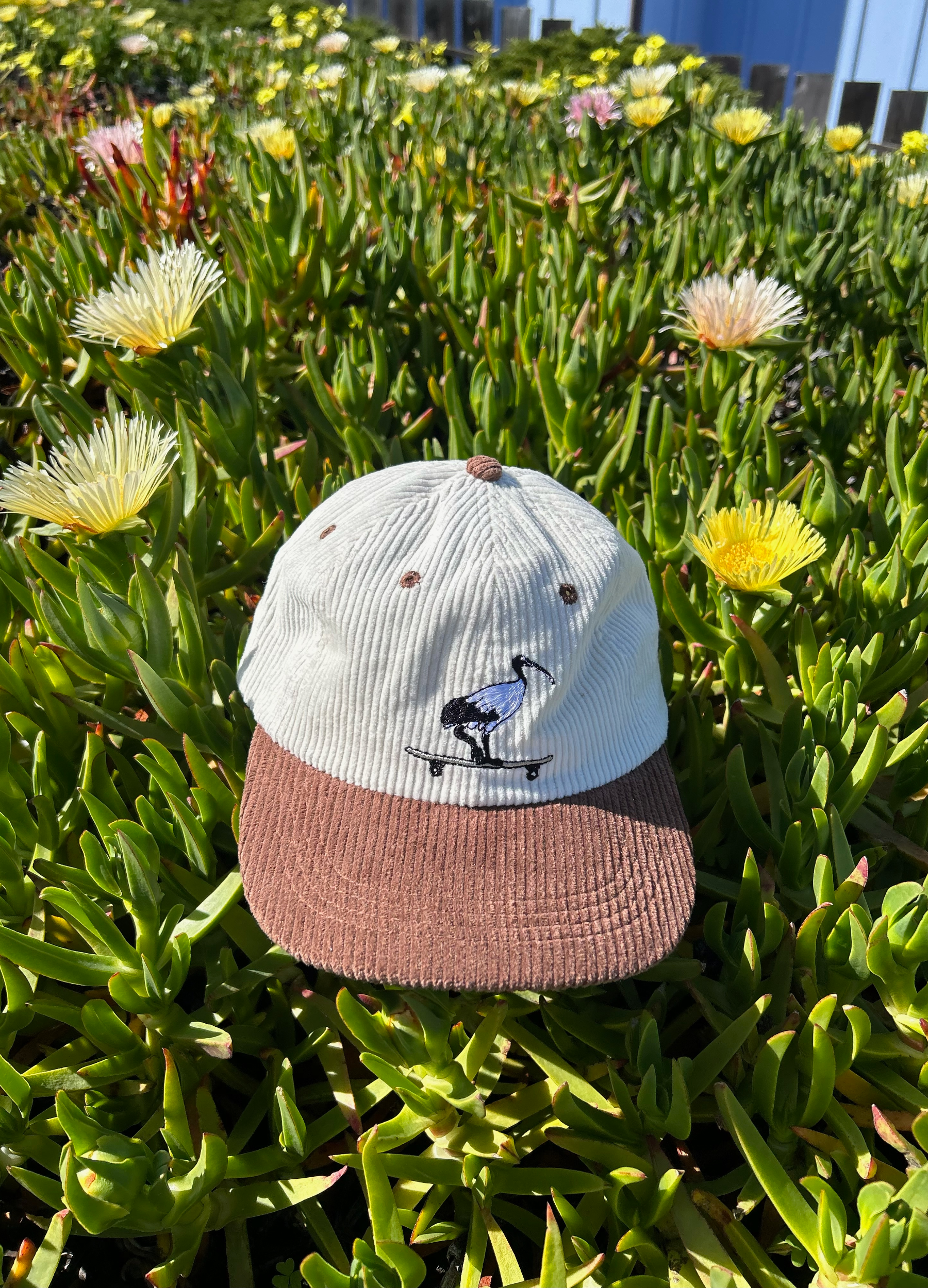 Bin Chicken Corduroy Mini Cap - Trendy Skate Style Hat