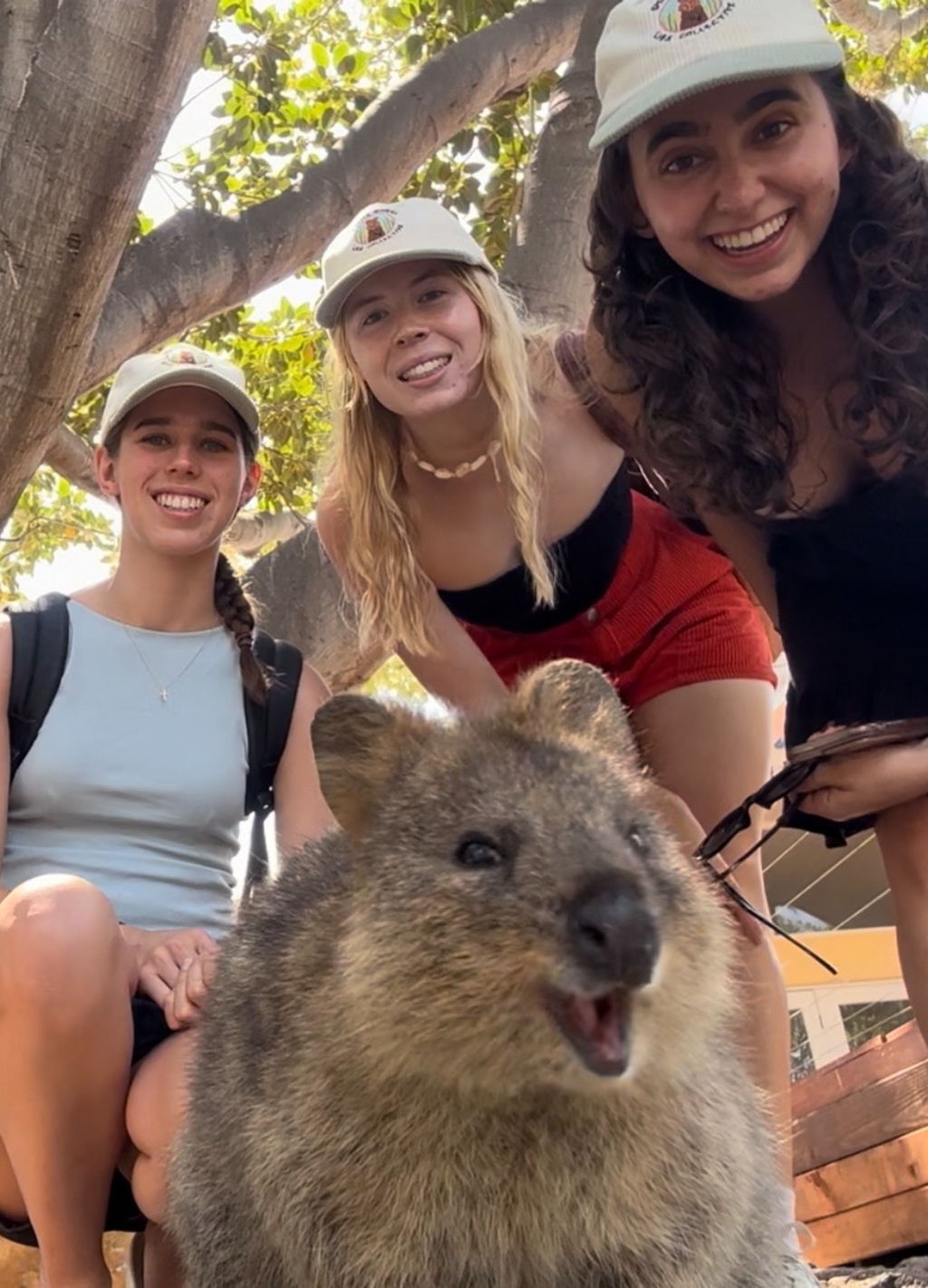 Vintage Corduroy Smiling Quokka Hat - Happy & Adjustable Style