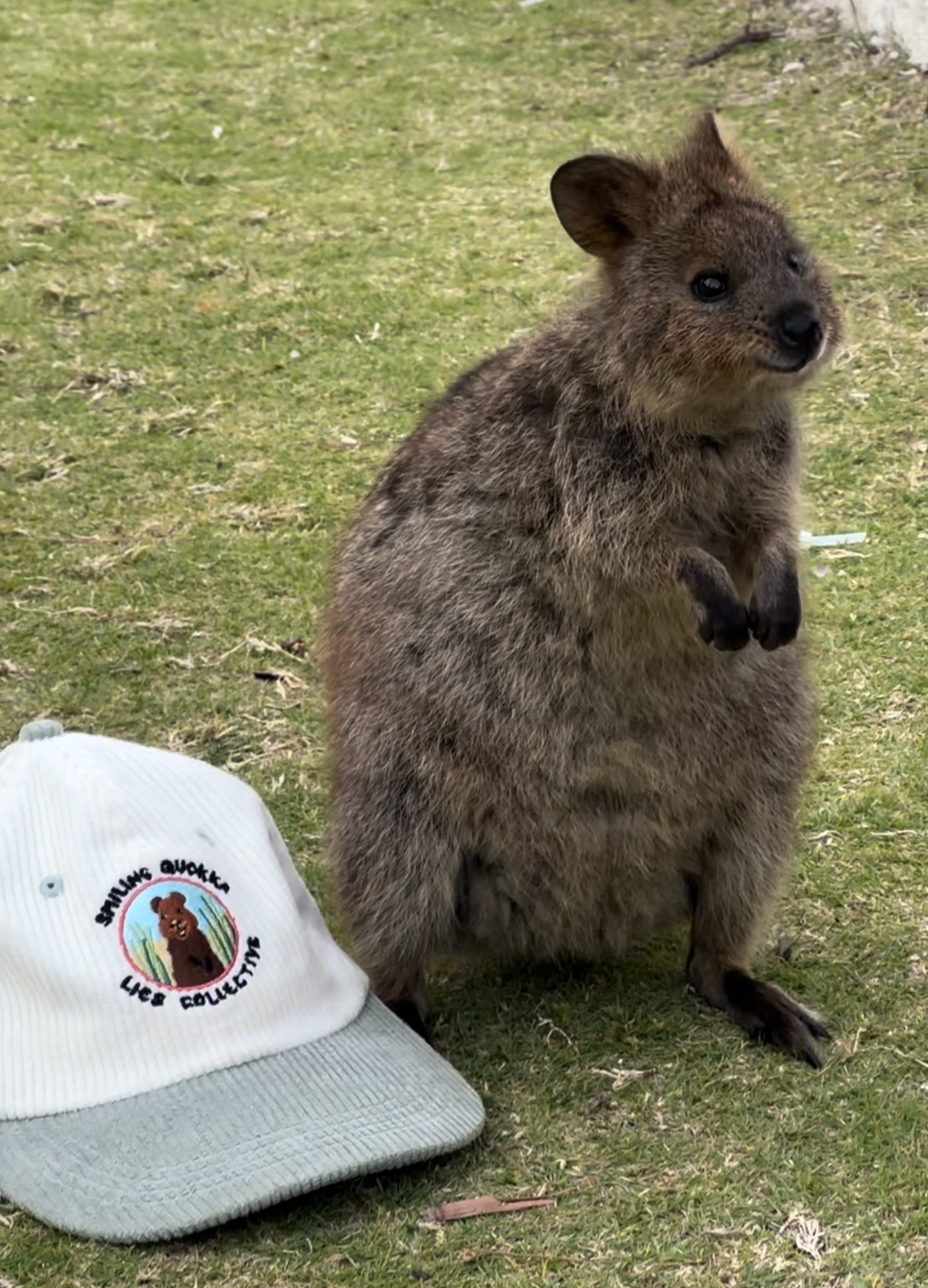 Vintage Corduroy Smiling Quokka Hat - Happy & Adjustable Style