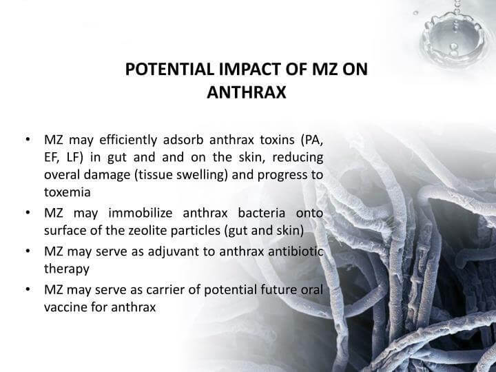 ZeoZone Activated Liquid Zeolite 60ml